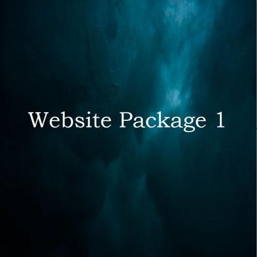 Website Now Package