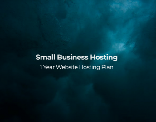 Business Hosting Plan